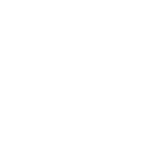 Shennan New Energy